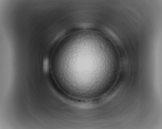 X0000113760024200909301118