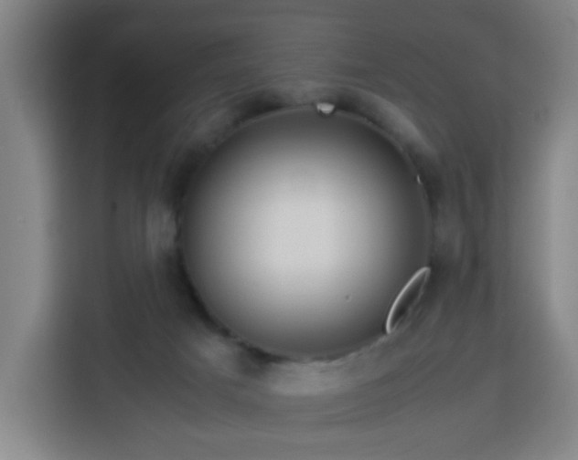 X0000113760025200909301118