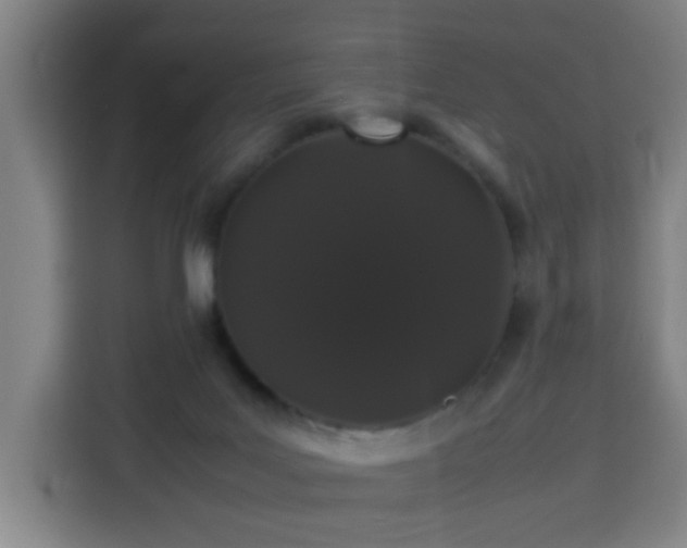 X0000113760027200909301118