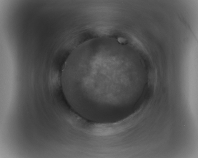 X0000113760029200909301118
