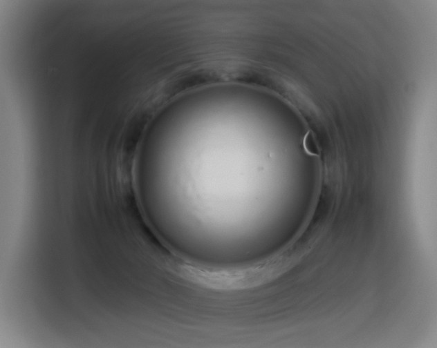 X0000113760030200909301118