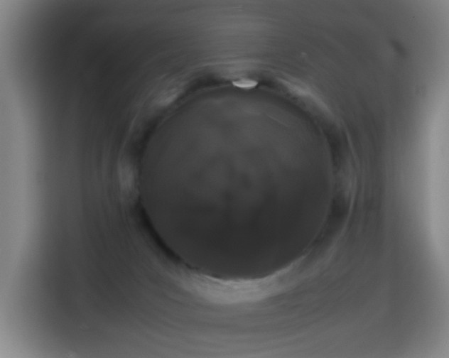X0000113760031200909301118