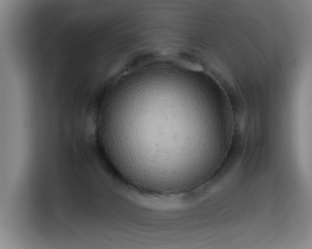 X0000113760032200909301118