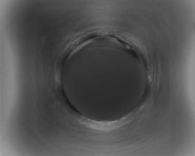 X0000113760035200909301118