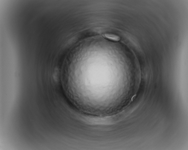 X0000113760036200909301118