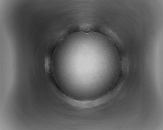 X0000113760038200909301118