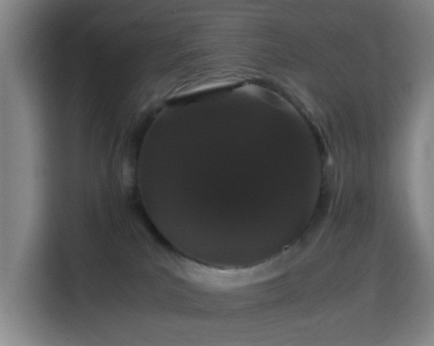 X0000113760039200909301118
