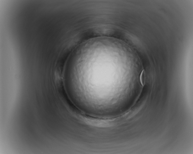 X0000113760040200909301118