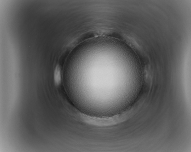 X0000113760042200909301118
