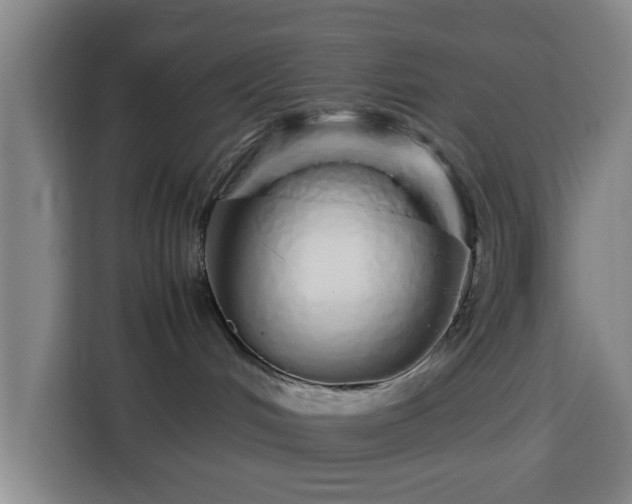 X0000113760048200909301118