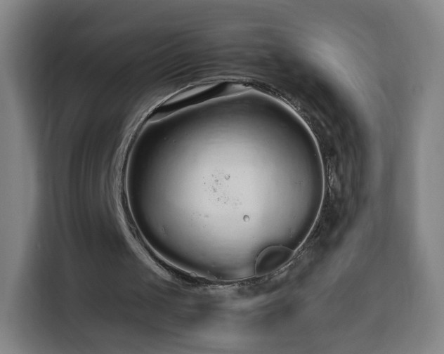 X0000113760049200909301117