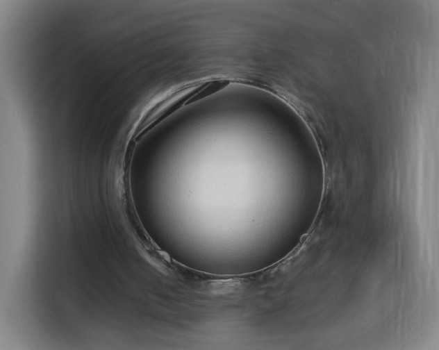X0000113760050200909301117