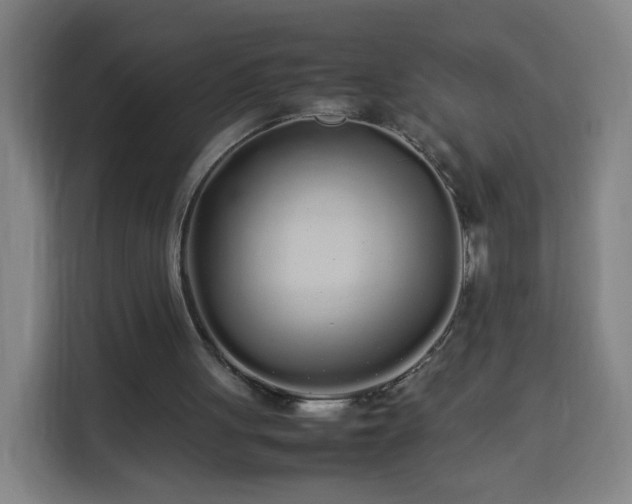 X0000113760051200909301117