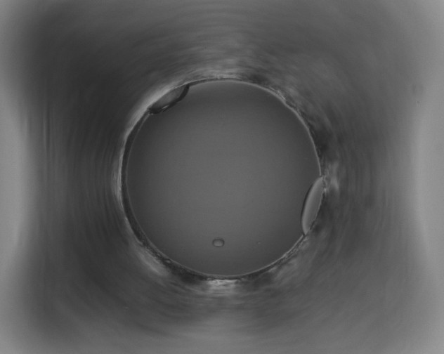 X0000113760052200909301117