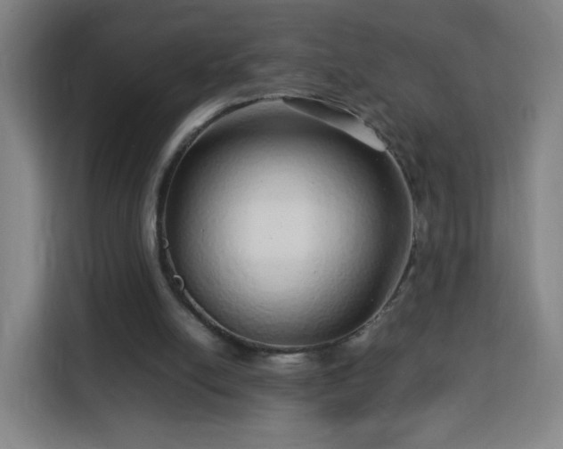 X0000113760054200909301117
