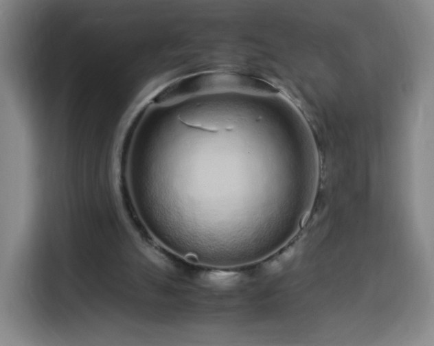 X0000113760055200909301117