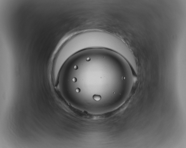 X0000113760056200909301117