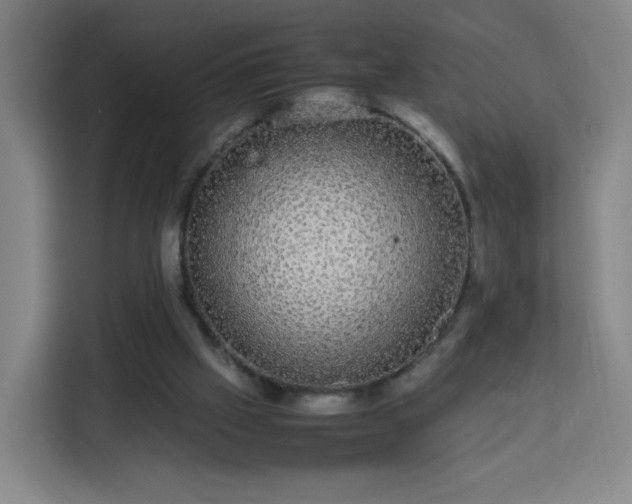 X0000113760057200909301117