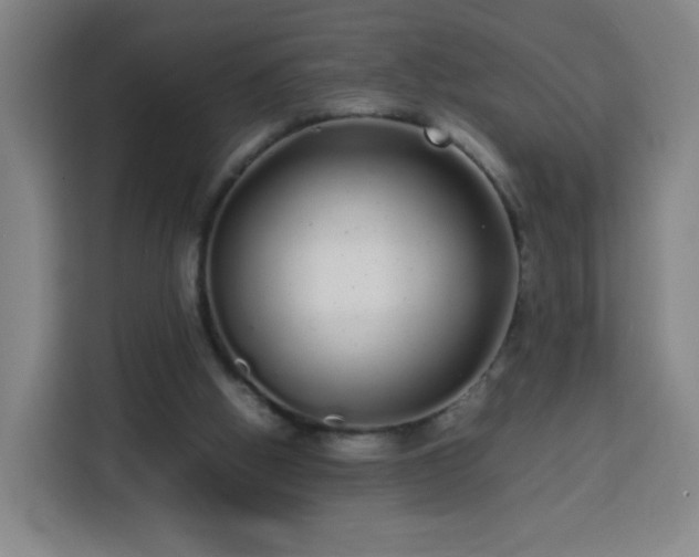 X0000113760058200909301117