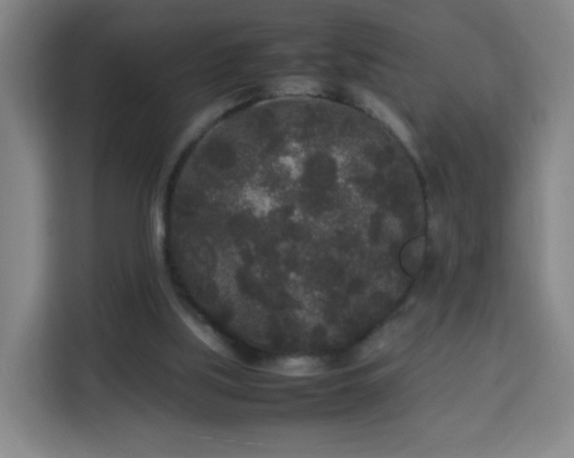 X0000113760059200909301117