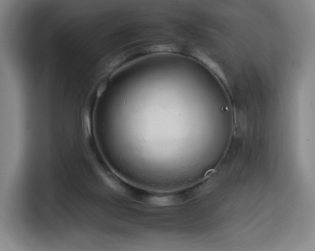 X0000113760061200909301117