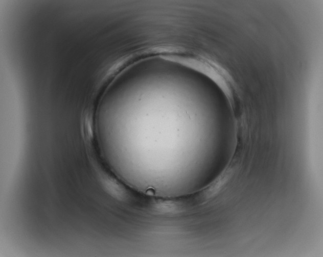 X0000113760062200909301117