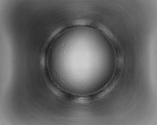 X0000113760064200909301117