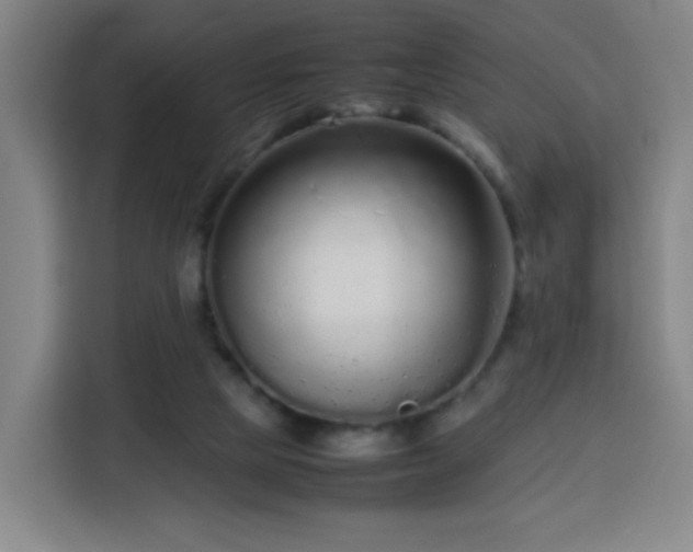 X0000113760065200909301118