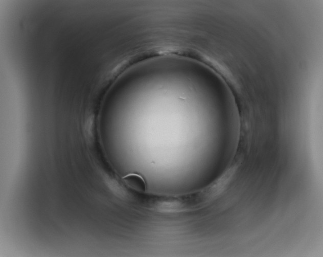 X0000113760066200909301118