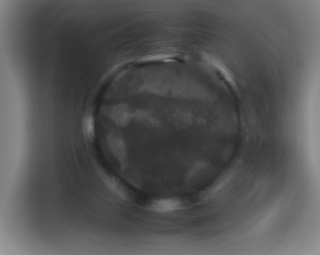 X0000113760067200909301118