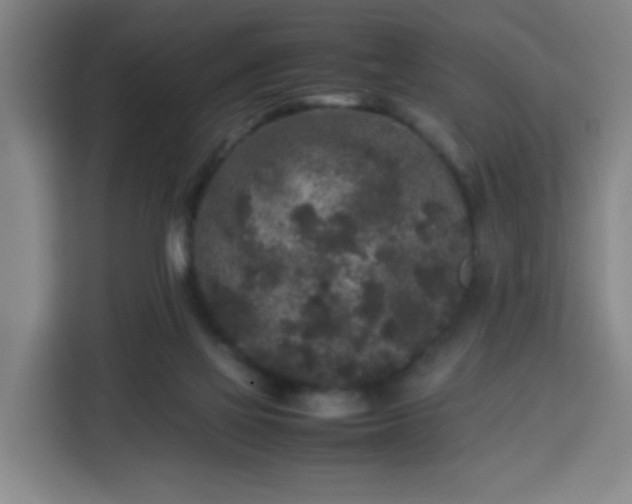 X0000113760069200909301118