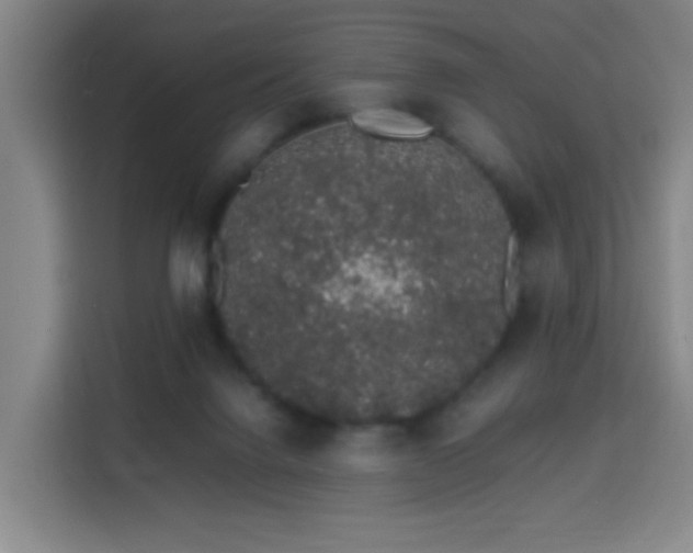X0000113760072200909301118