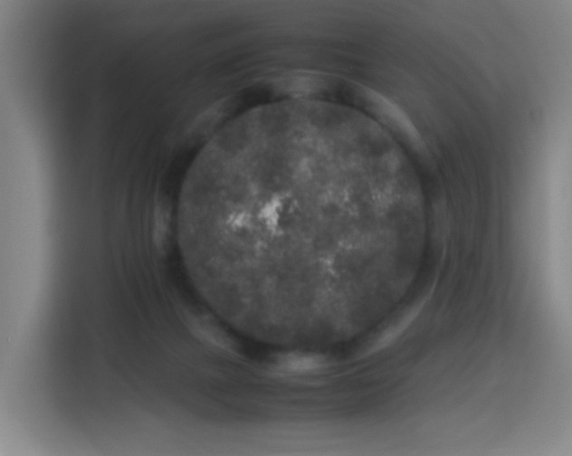 X0000113760073200909301118