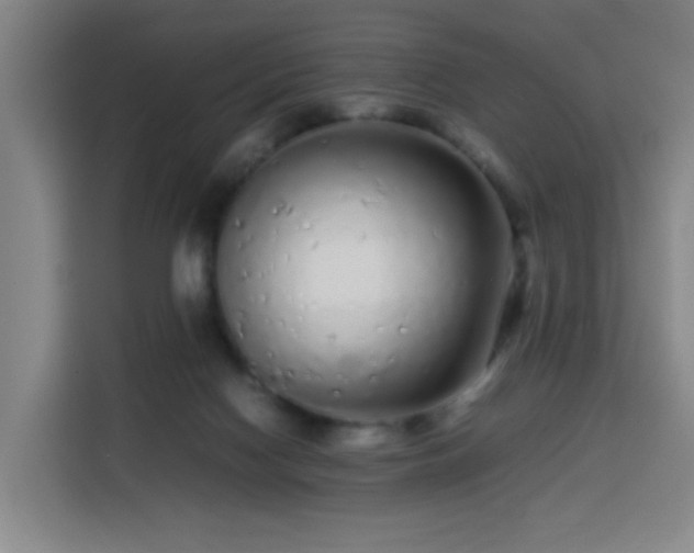 X0000113760074200909301118