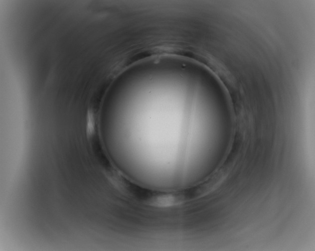 X0000113760075200909301118