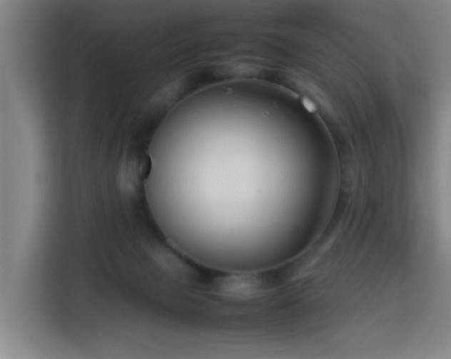 X0000113760077200909301118
