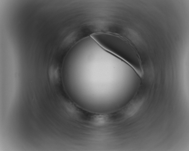 X0000113760088200909301118