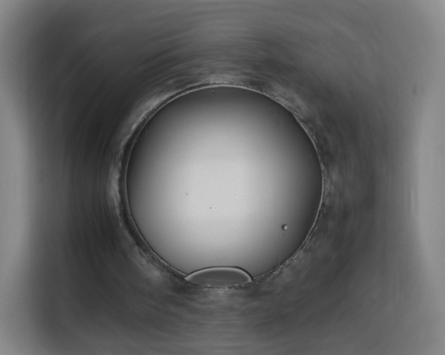 X0000113760098200909301117