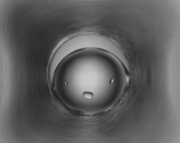 X0000113760100200909301117