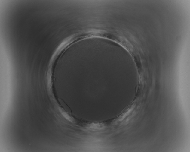 X0000113760101200909301117