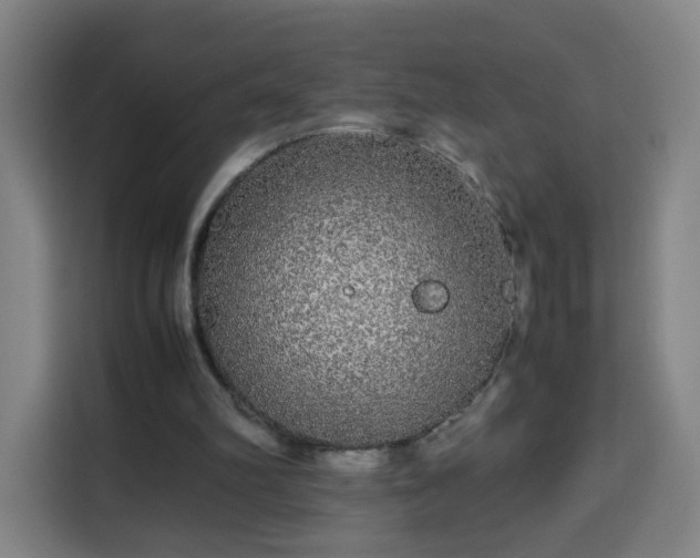 X0000113760102200909301117