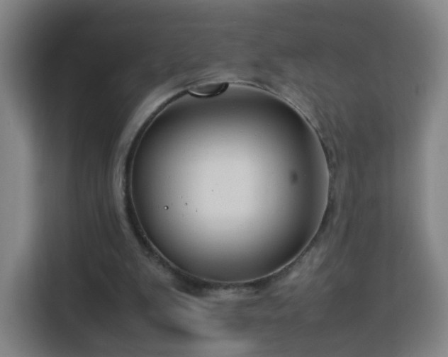 X0000113760103200909301117