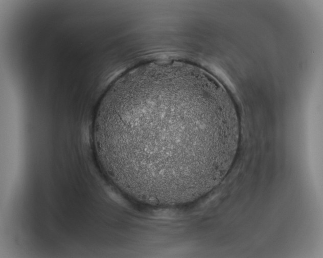 X0000113760105200909301117