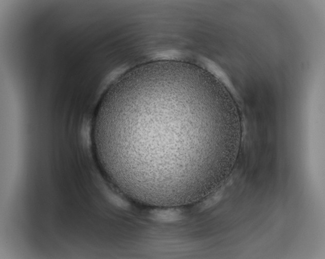 X0000113760106200909301117