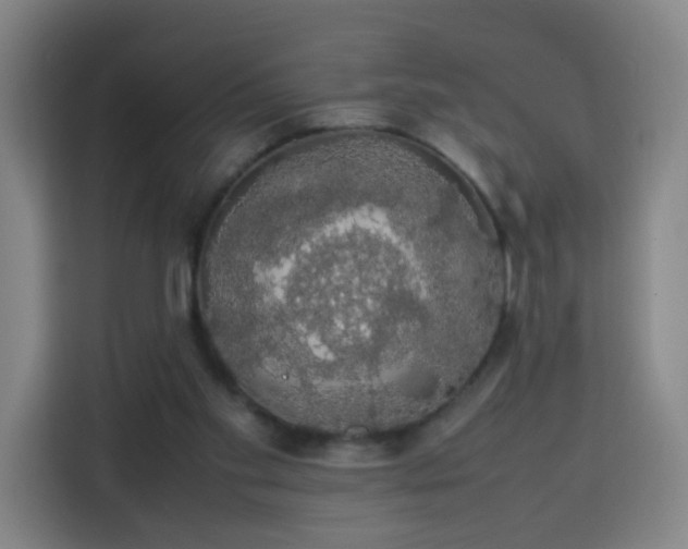 X0000113760109200909301117