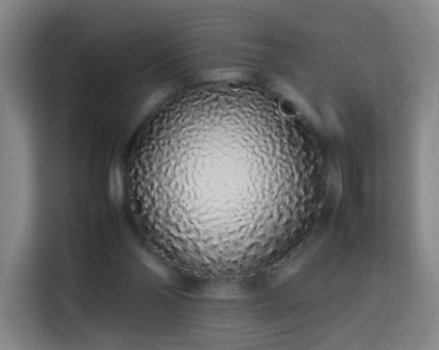 X0000113760110200909301117
