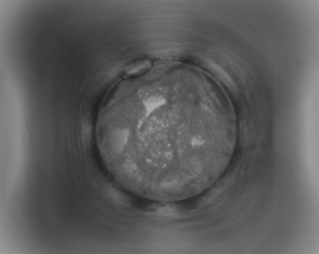 X0000113760113200909301117