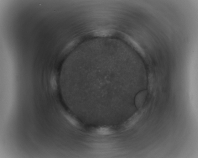 X0000113760114200909301117