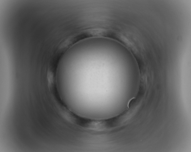 X0000113760117200909301117