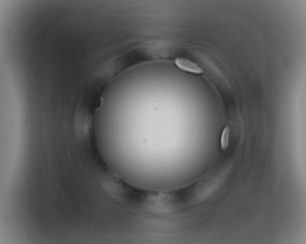 X0000113760125200909301117